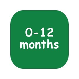 0 - 12 months