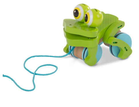 Frolicking Frog Pull Toy